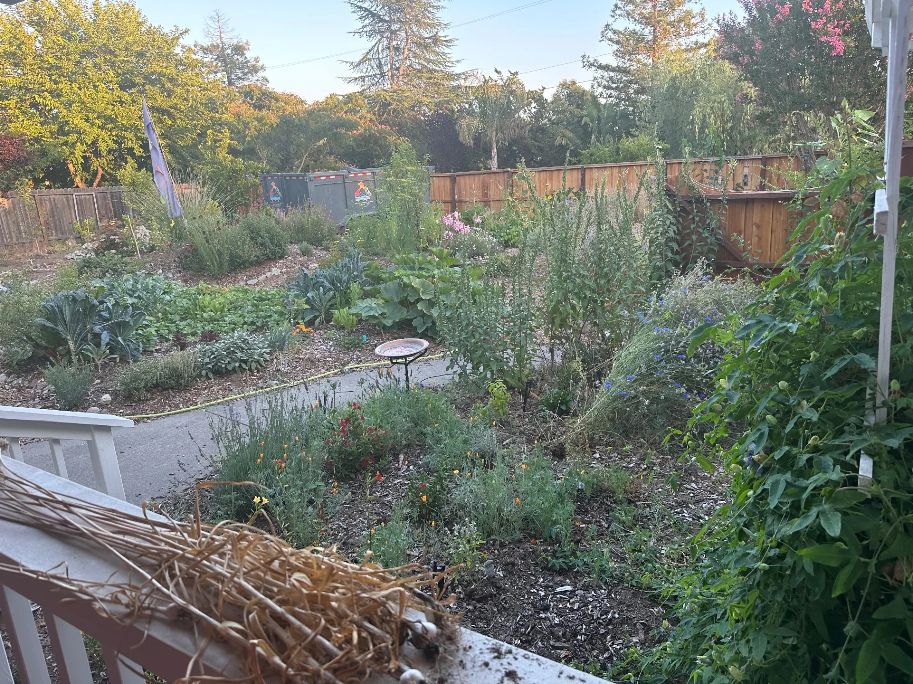 Pollinator Gardens
