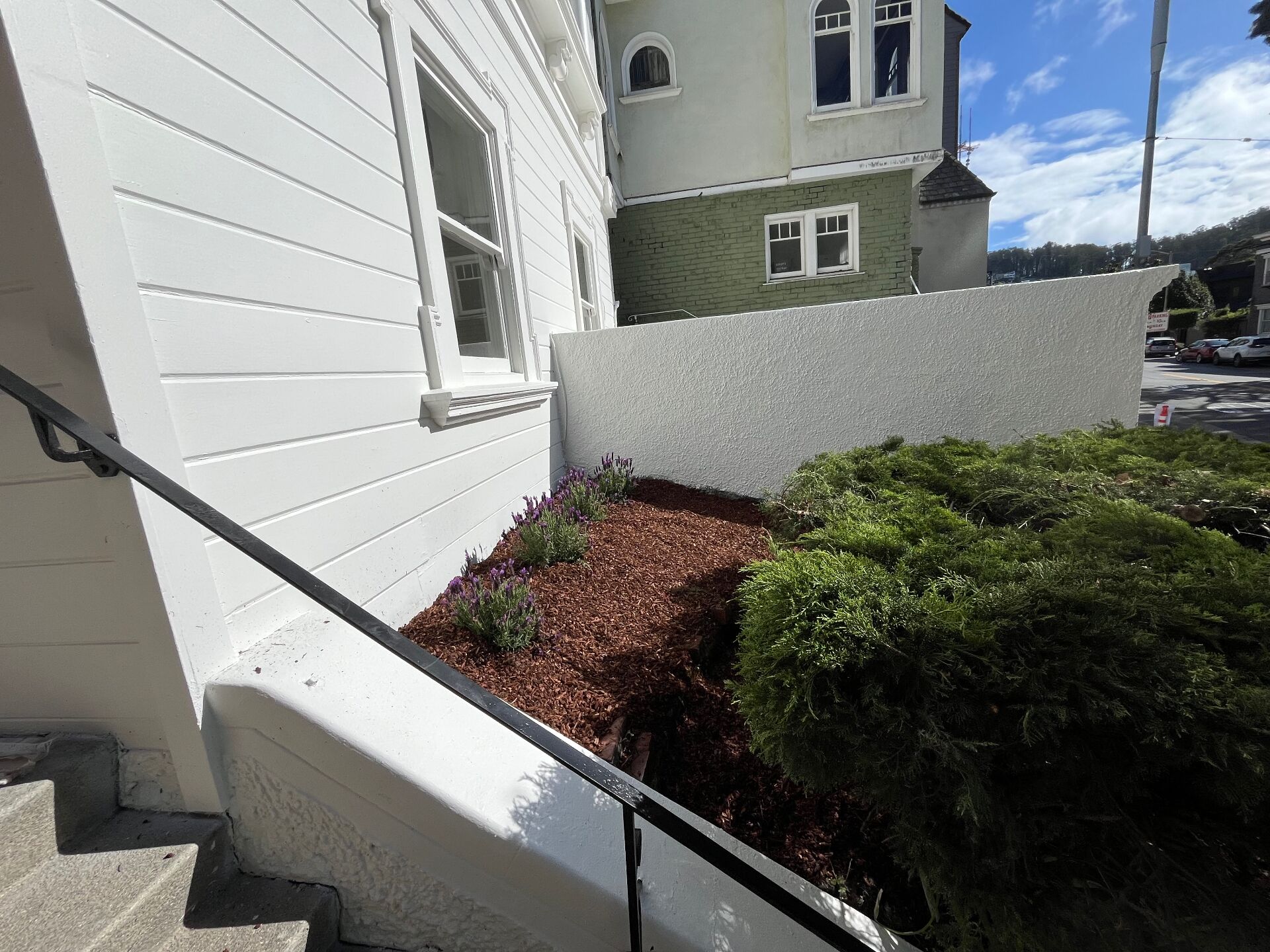 Ashbury St - portfolio image 2