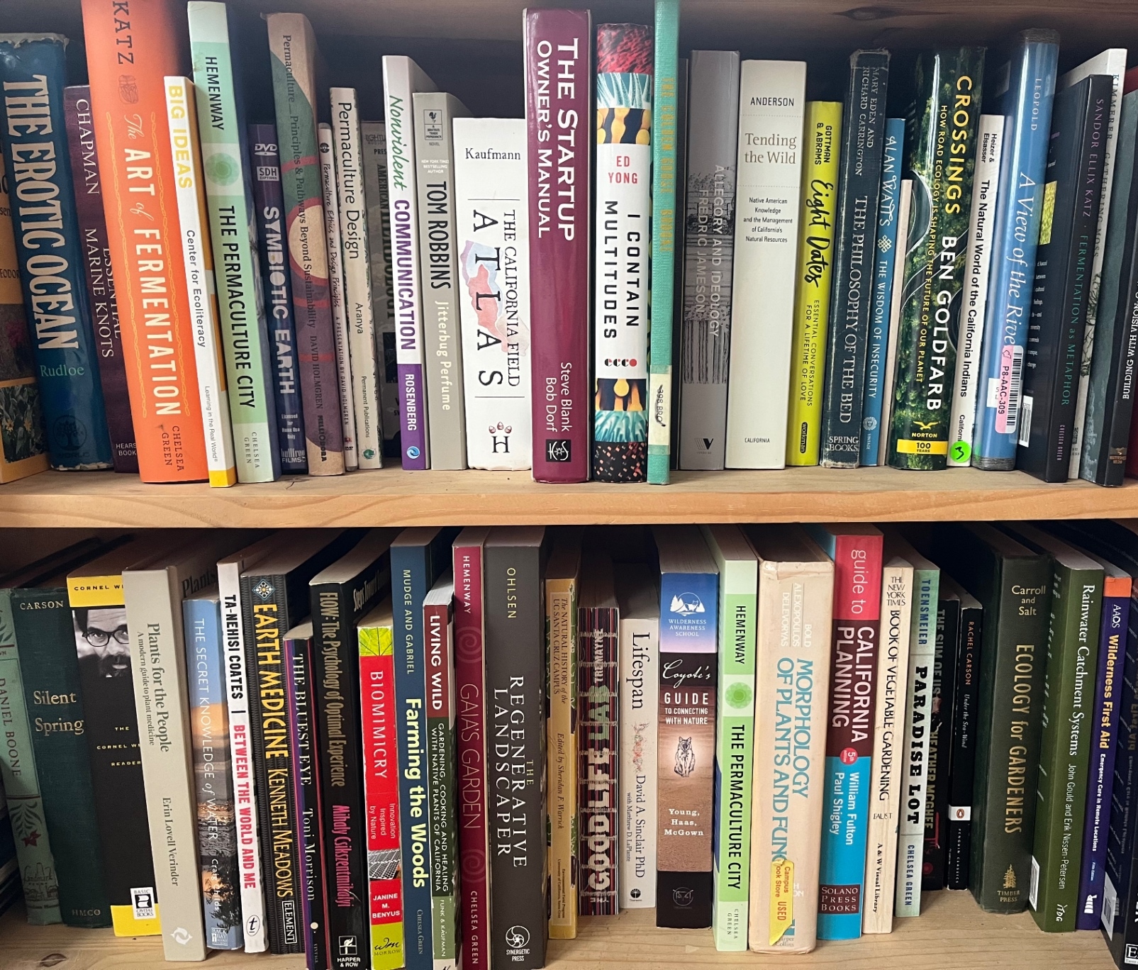 Bookshelves filled with ecology, permaculture, and regenerative design titles