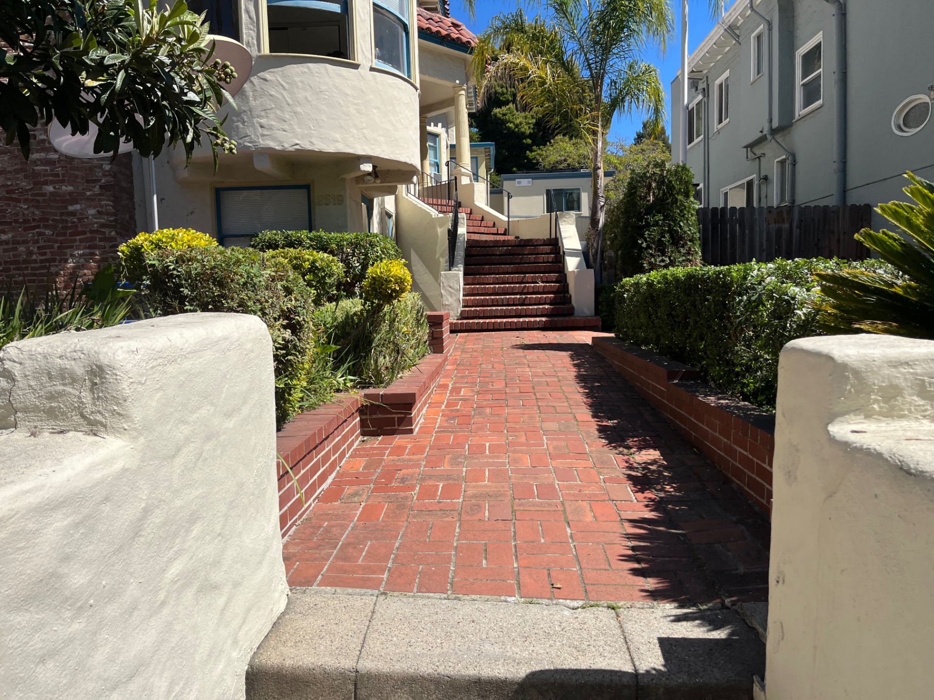College Ave - portfolio image 2