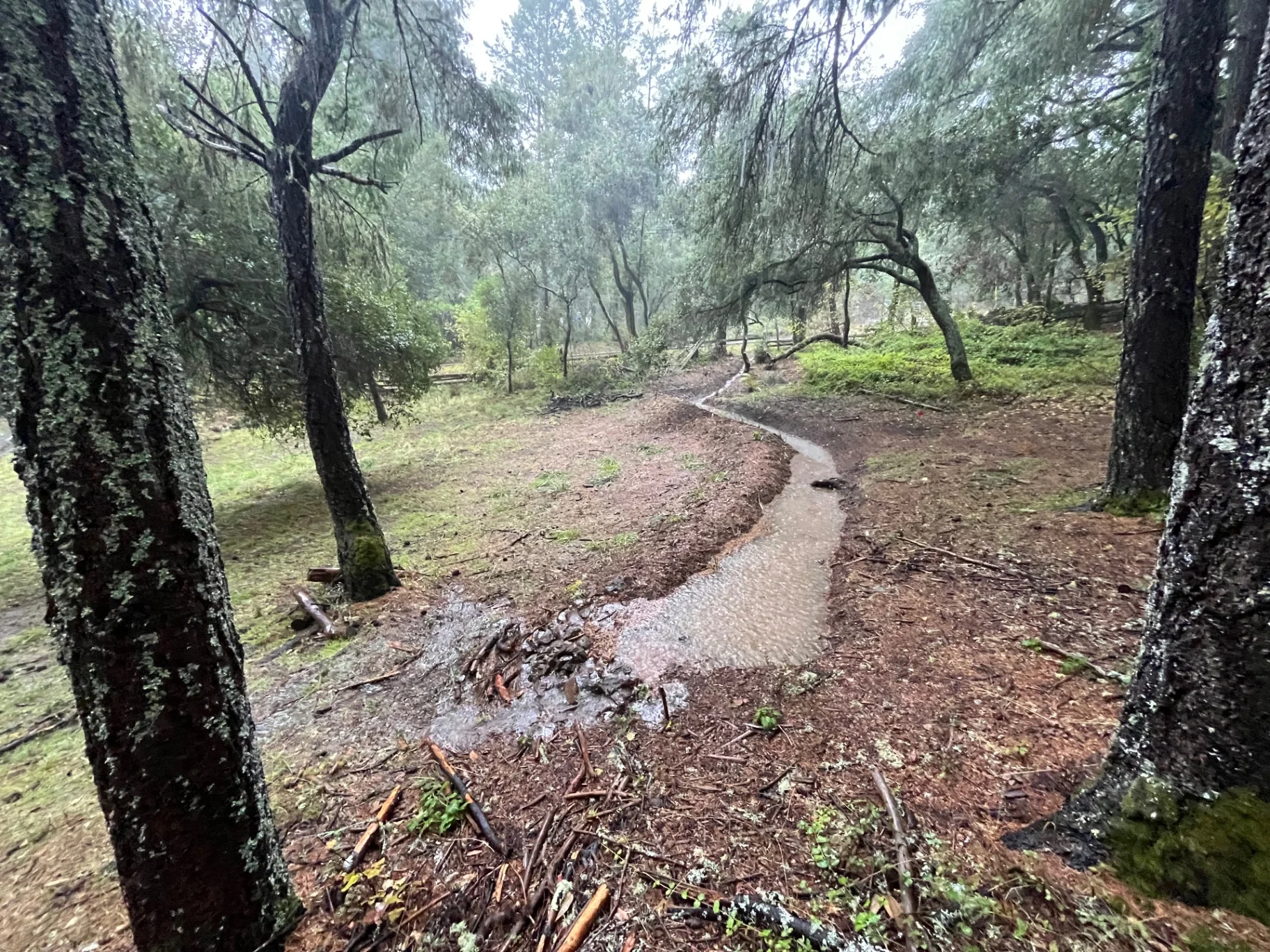 Earthworks and Surface Water Management