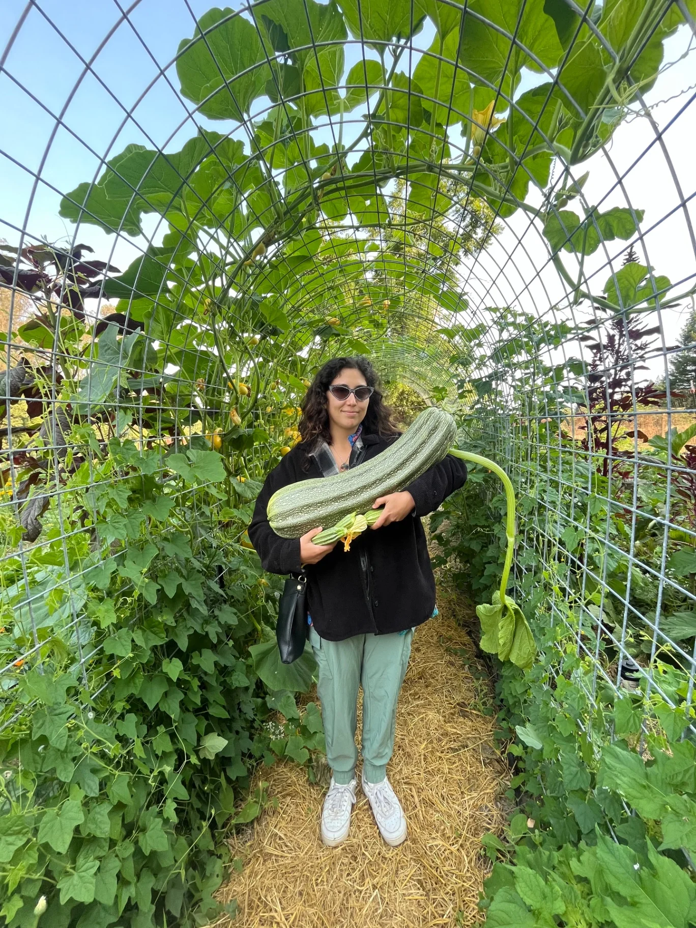 Food Forests